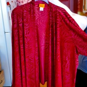 Pretty Burn-out Velvet Red Jacket.